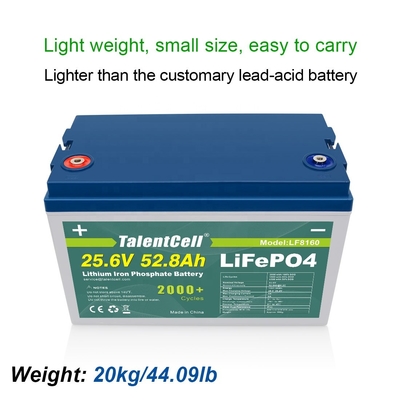 Lithium-Ionen-Eisenphosphat-Lifepo4-Batterie für Ev 24v 50ah